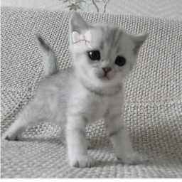 ♡