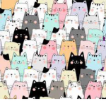 Cat champions!