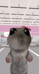 Hamsti nasenspray's Gang