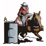 Barrel Racers Community