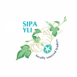 STH Youth Leaders Internship