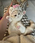 BFFS=SISTERS