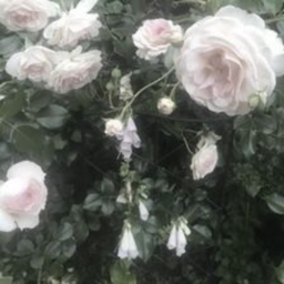 ♡