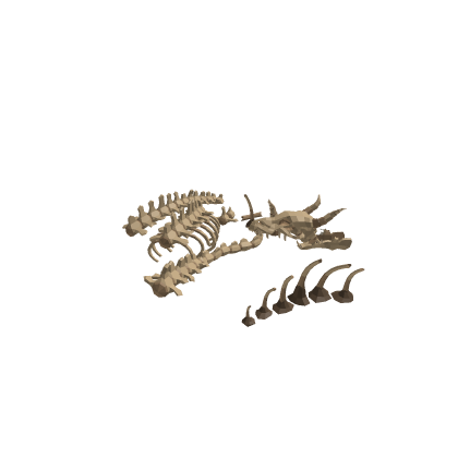 Low Poly Bones Pack