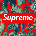 Join if you in a gang sheesh