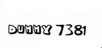 Dummy 7381