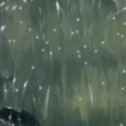 ✿
