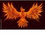 Fire Phoenix's
