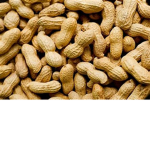 The peanut army 11