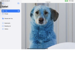 BLUE DOGS GAMING