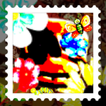 mmashedd