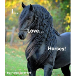 Just a Horse Loving group! :)