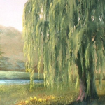 ~Weeping Willows~