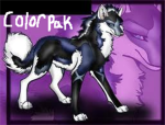 ColorPak