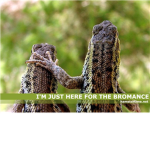 Bromance Of ROBLOX