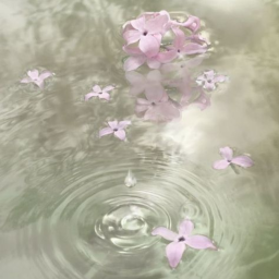 ✿