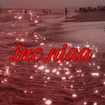 .inc.niaa