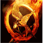 The Hunger Game Fighters