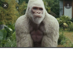 Monkey Over kill