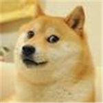 the awesome doges