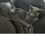 Addy & Thomas