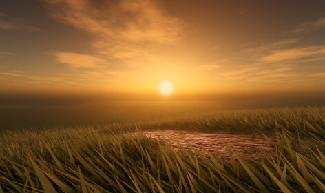 Landscape.