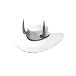Cowboy hat with Horns