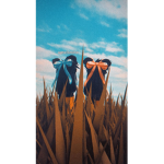 ayooxlenax
