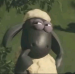 Lavendersovi