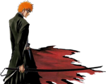 Bleach Fan Club..