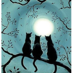 •MoonClan•