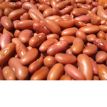 bean squad is awesome