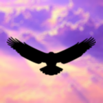 |FNY| FlyNorwayᵀᴹ