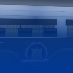 Tribunal Constitucional