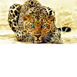 GoldLeopard