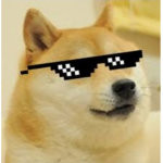 Deal with the DOGE