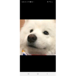 CmonFriends