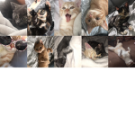 Pool Of Rats