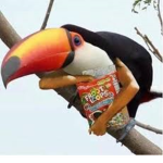 The Froot Loop Civilization