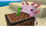 axototl club :3