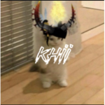 Tr4p$$