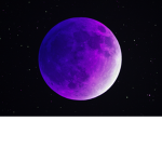 lunar full day dream