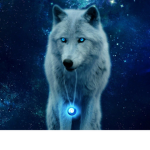 Mistic wolf pack