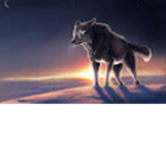 Wolves of anime
