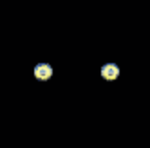SaltPillerLabs