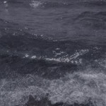 *:･ﾟ✧*:･ﾟ✧ 