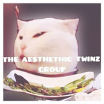 The aesthethic twinz