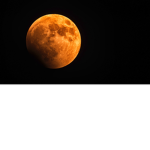 Midnight Moon Madness