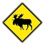 McMoose