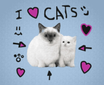Catyys